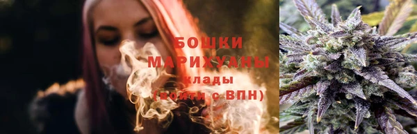 амф Алексин