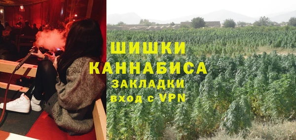 амф Алексин