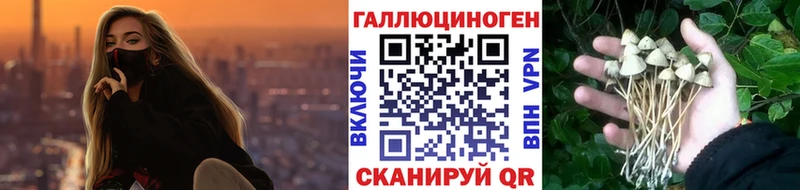 Псилоцибиновые грибы прущие грибы  Заозёрный 